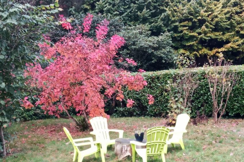 Villa La Côte du Chat -Familienhaus Bretagne - foto 30