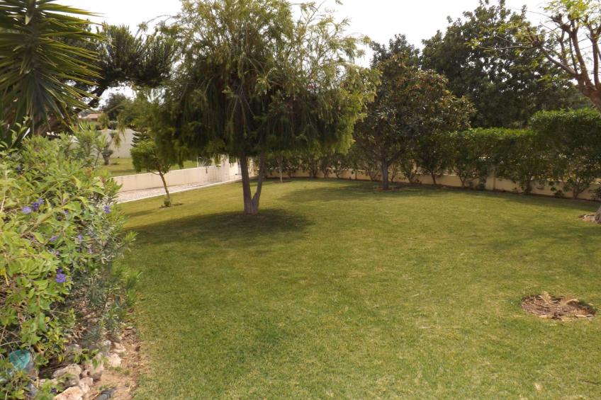 Ferienhaus - foto 10