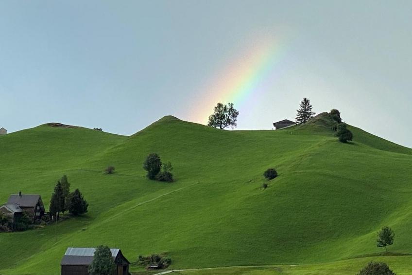 Alpakahof Ferien - foto 18