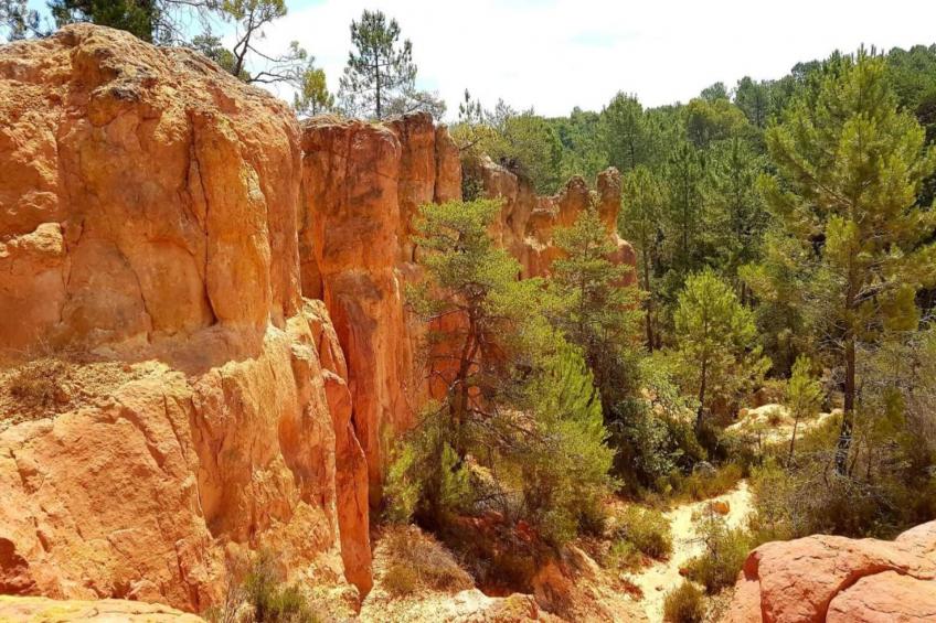 la petite Colline - foto 32