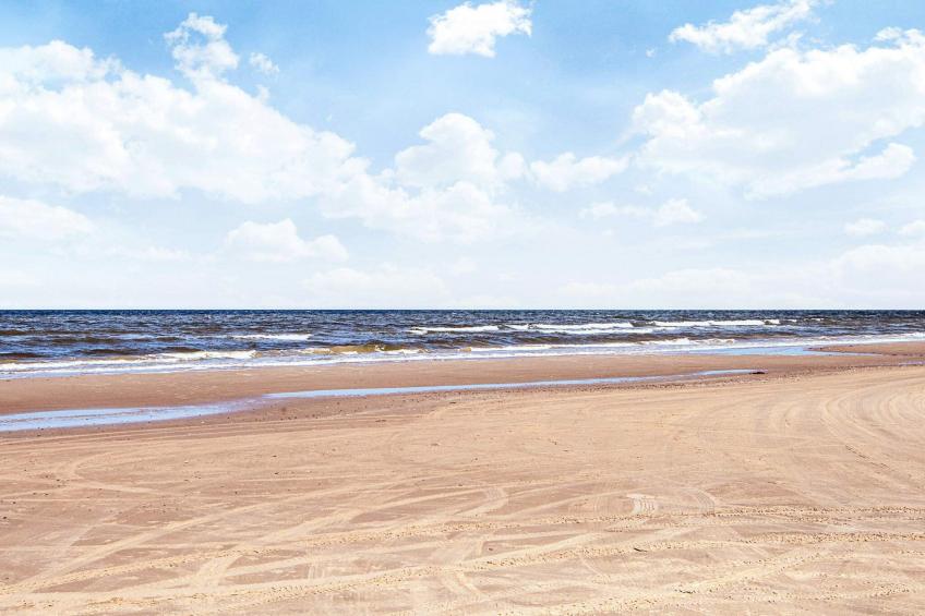 Skovhytte 4 personer - foto 28