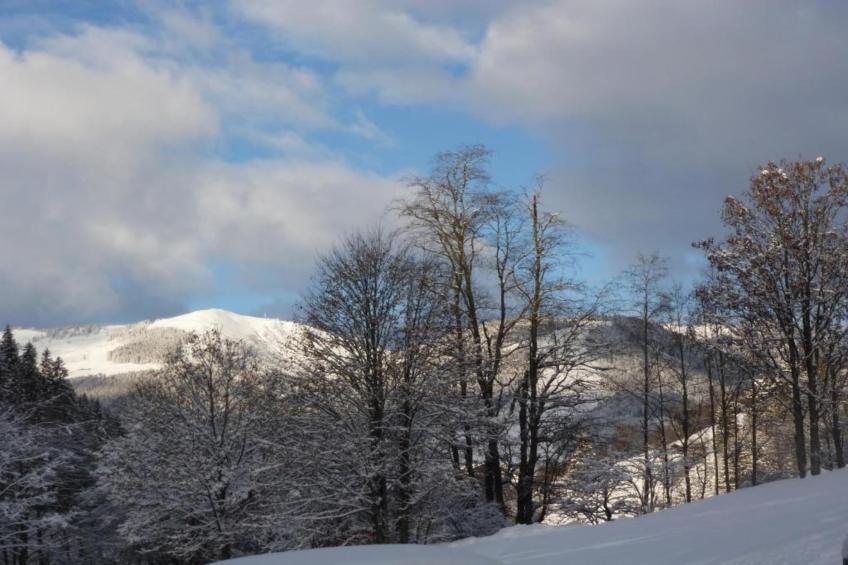 Toni's Appartement Saalbach - foto 36