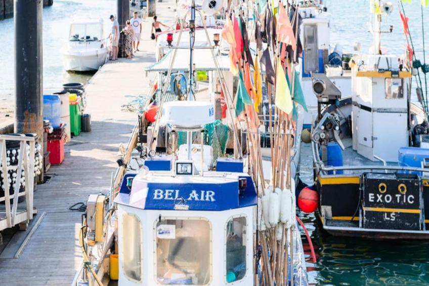 Maison à Saint-Gilles-Croix-de-Vie - foto 18