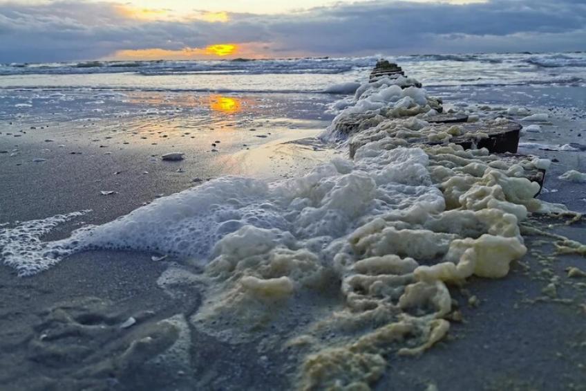 Appartementen Post Hiddensee, Vitte - Type A - foto 12