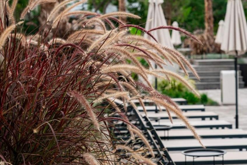 Ateliers Allure Varna - foto 3