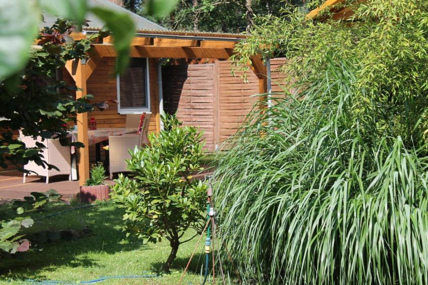 Bungalow Waldidyll - foto 4