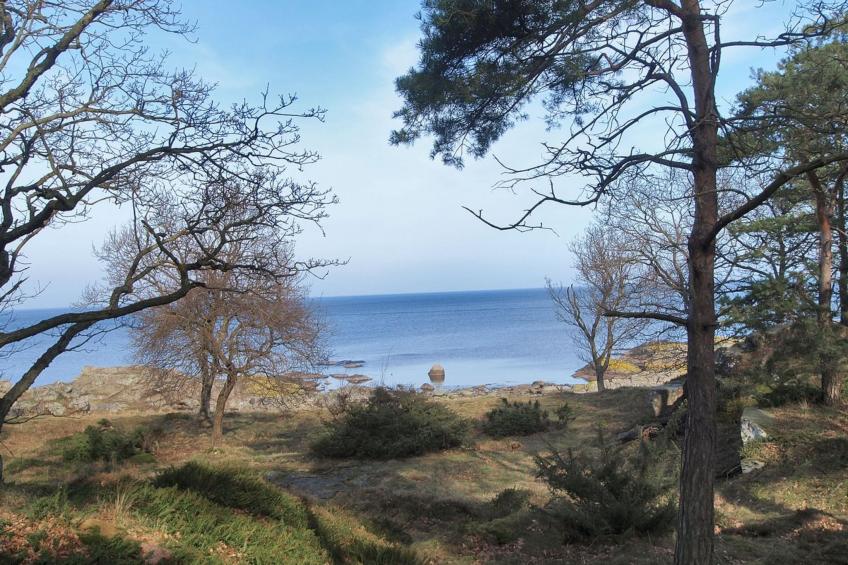 "Can" - 300m from the sea in Bornholm - foto 23