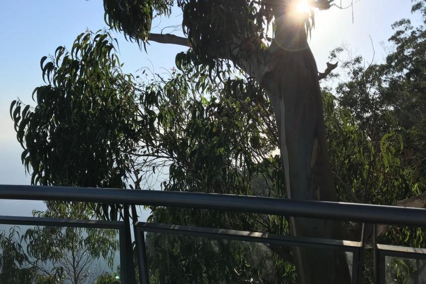 mit Blick auf das Wasser - foto 17