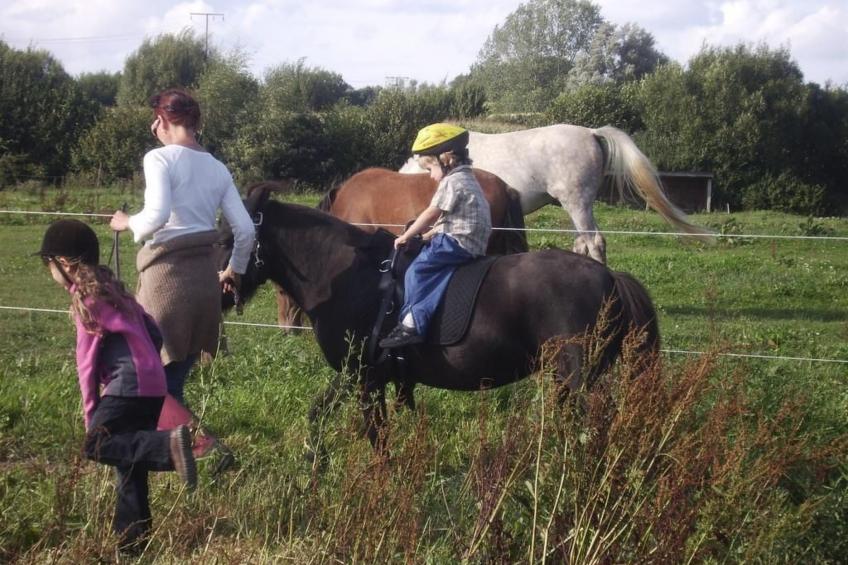 Hof Rodenkrog Fewo 1 - foto 35