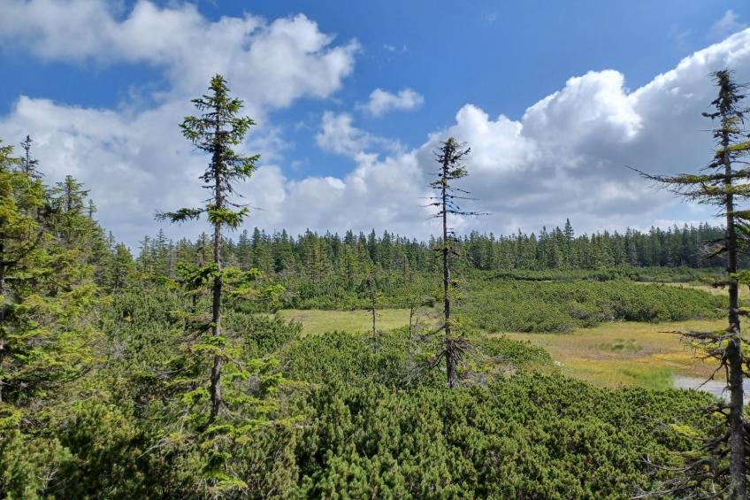 Maršovka - foto 110