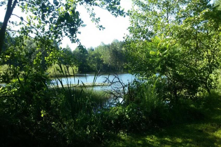 Maison de vacances - ESMOULIÈRES - foto 31