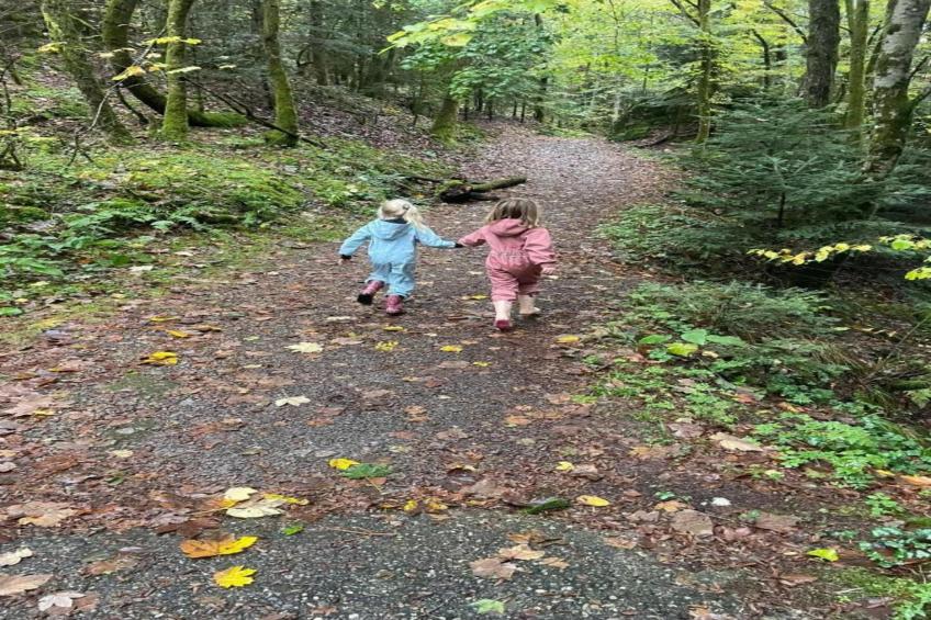 A l'Orée des Bois - foto 29