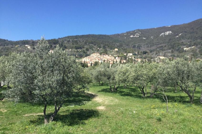 "Meline" mit Aussicht - foto 21