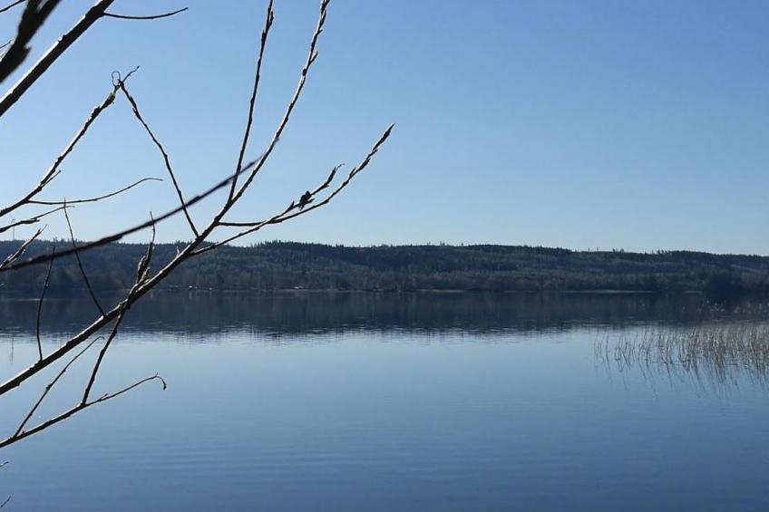 am See Åsunden mit herrlicher Aussicht - foto 37