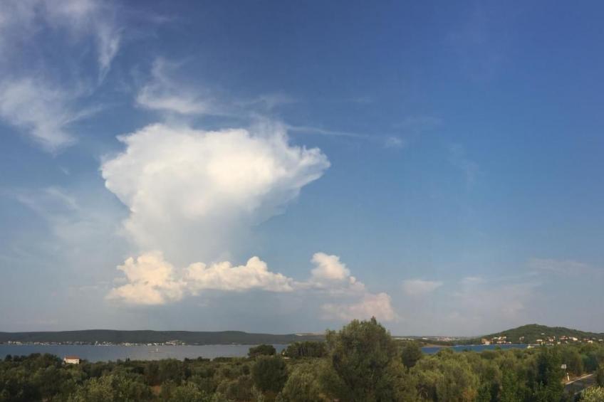 Apartment Rosa - foto 13