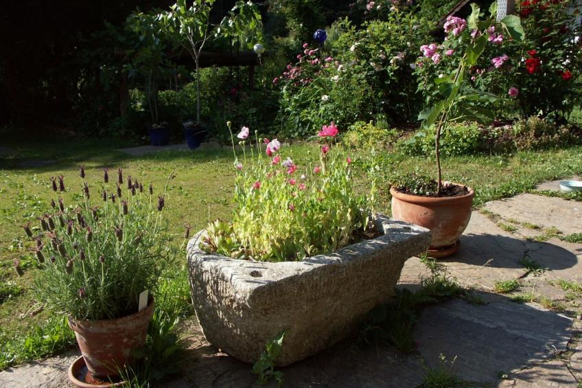 Himmelreichmühle in Sausal - foto 20