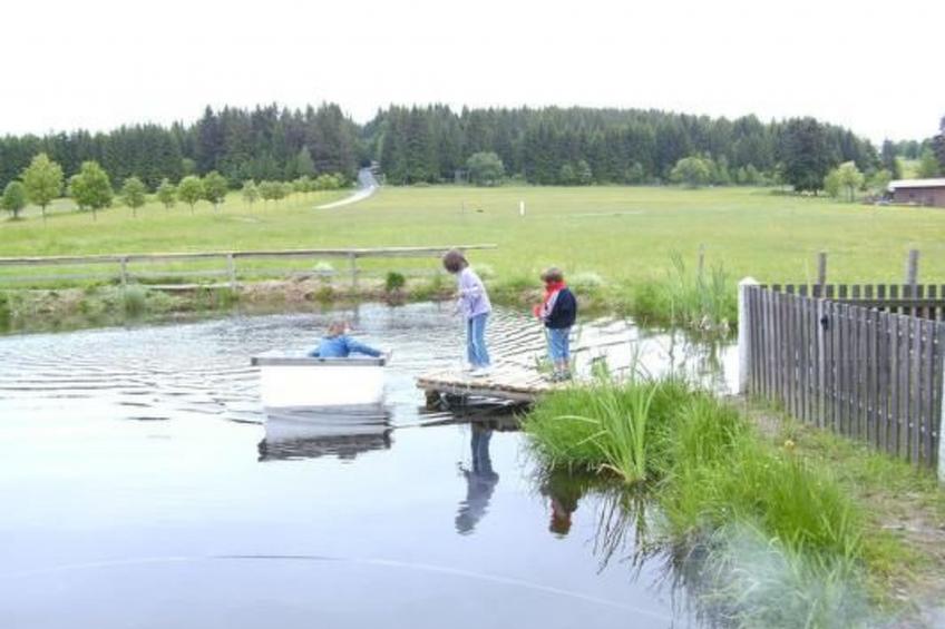 Wohnung in Haidmühle mit Terrasse und Garten - foto 13