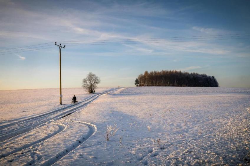 Alpaka-Farm - foto 29