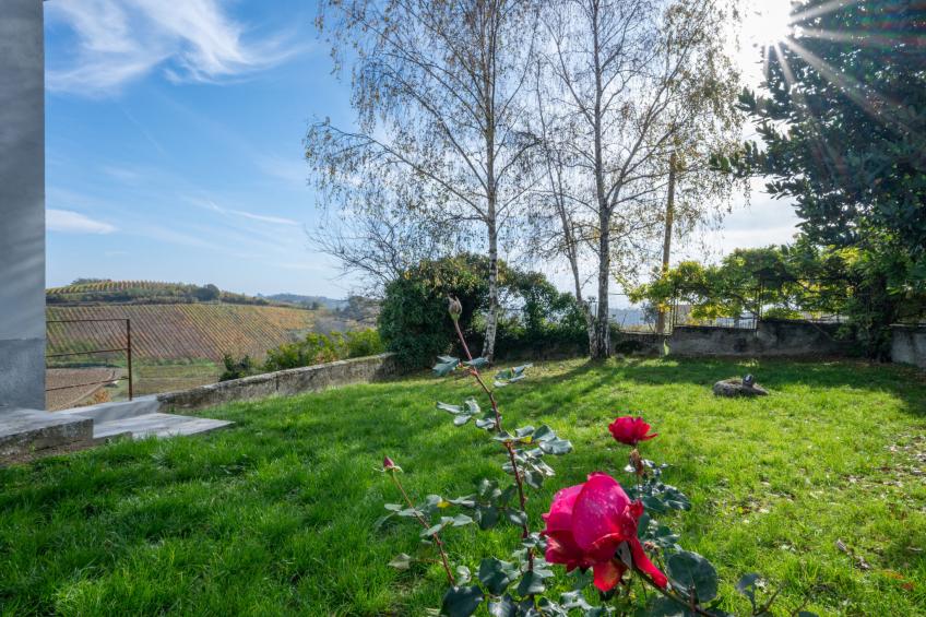 Guest House Viotti - foto 26