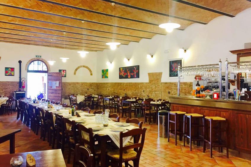 Holiday house on campsite in the pine forest - BF-NX2CW - foto 18