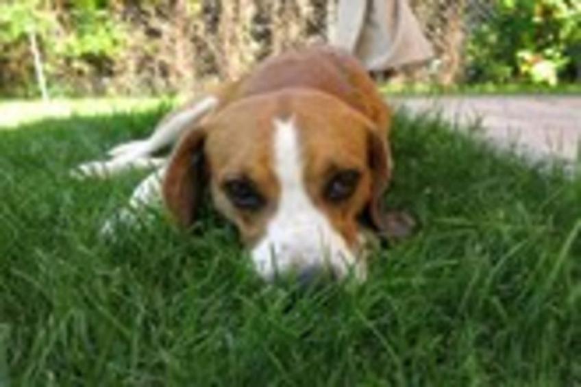 Casale Adriano Country House - foto 40