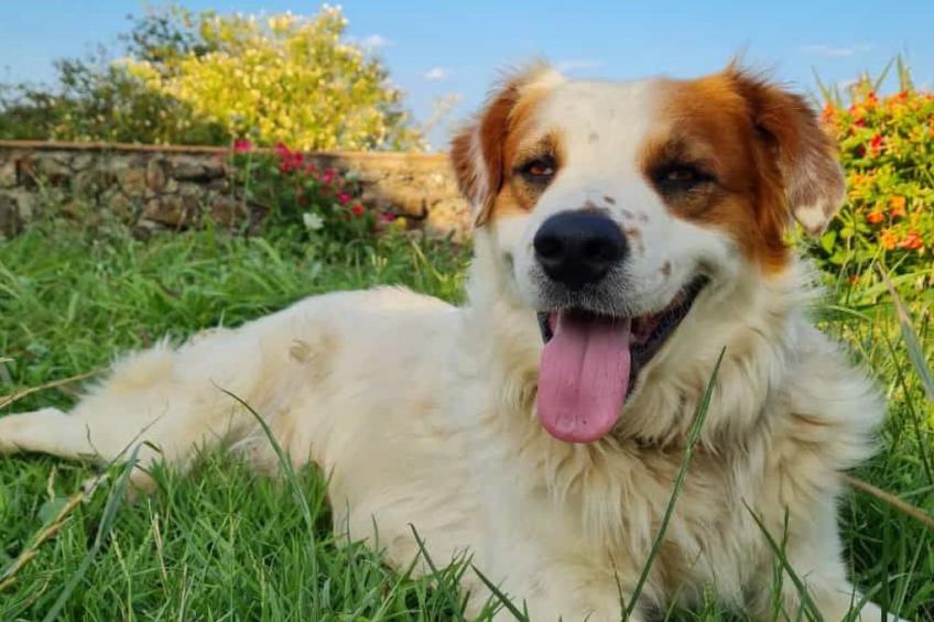 Landgut mit Blick auf das Wasser - foto 29