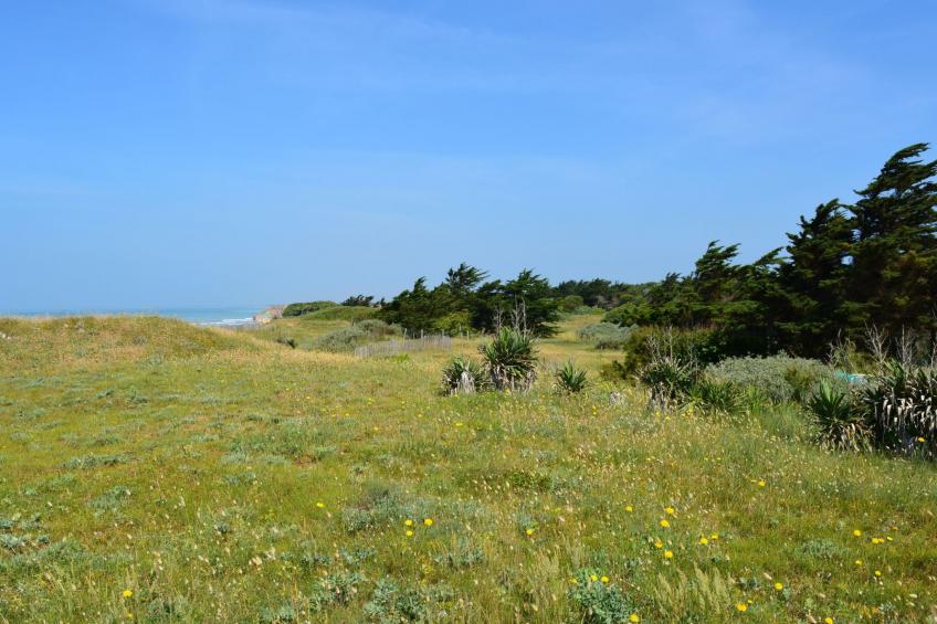 "Villa Joss" in Strandnähe - foto 30