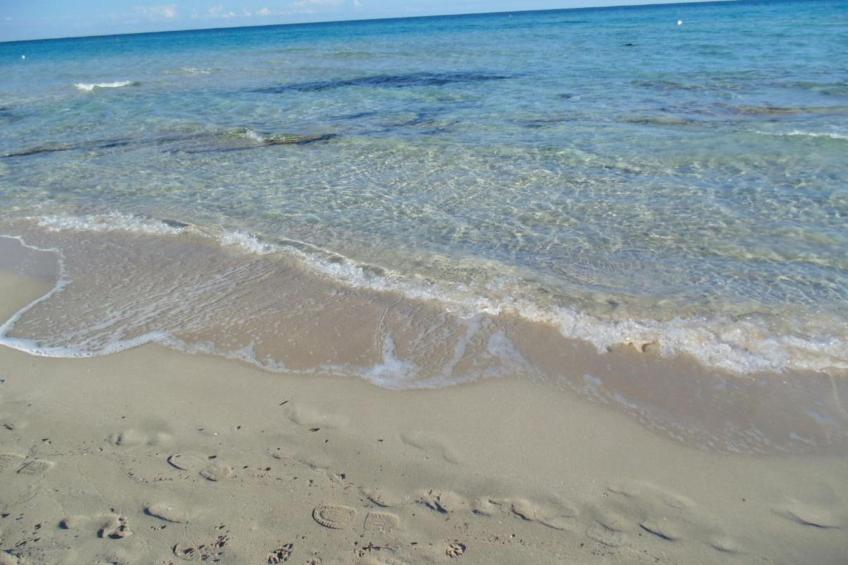 Profumo di Mare - foto 4
