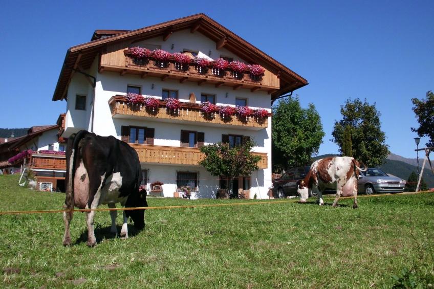 Rosenheim Appartement 4 - foto 2