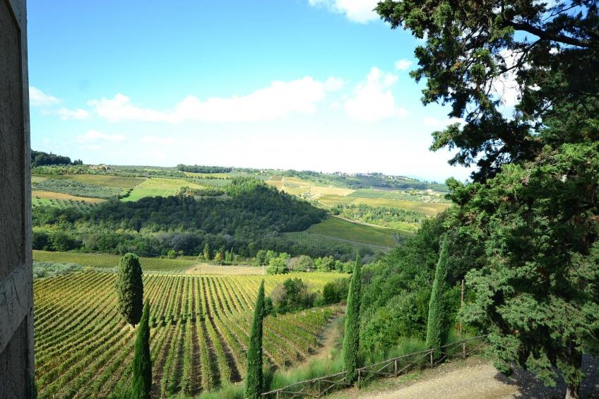 Pergolatico - foto 26