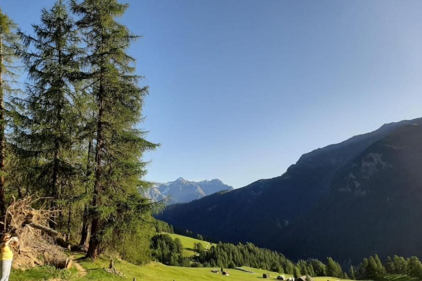 Pensiun Tung - foto 37