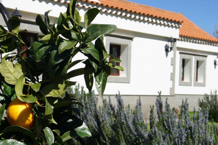 Villa Lucas mit Gartenterrasse und Schwimmbad - foto 32