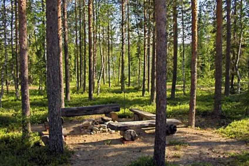 in Kemijärvi, Vuostimo Dorf - foto 16