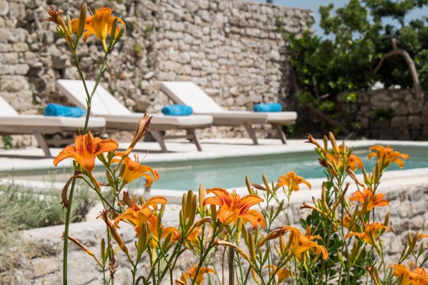 in Osor mit Privatem Pool - foto 4