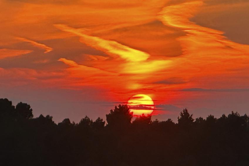 VILLA CAS HESPERO - foto 8