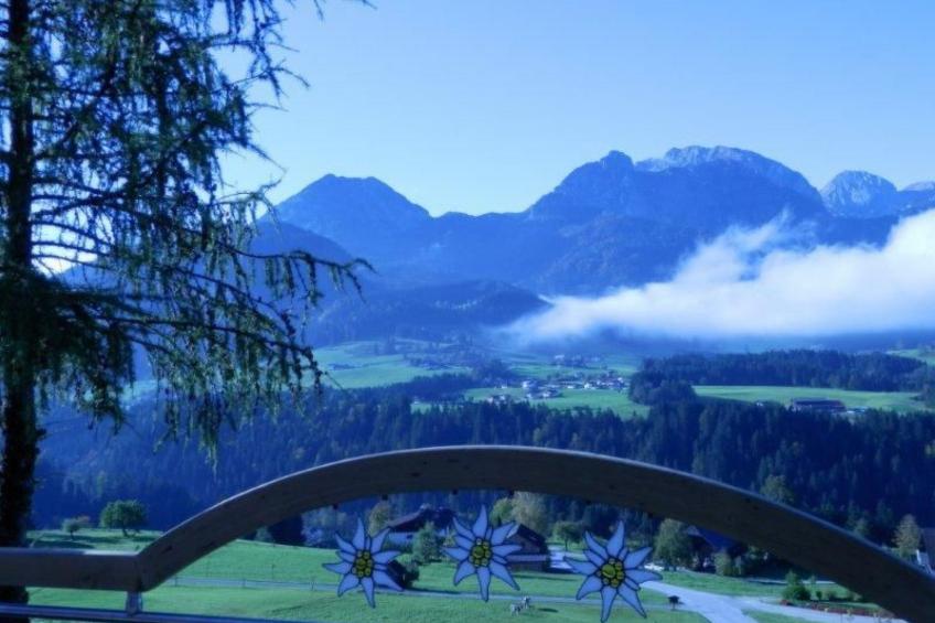 Luxusappartment - foto 52