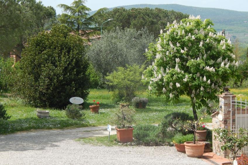für 3 Personen ca. 45 m² in Siena, Toskana - foto 10