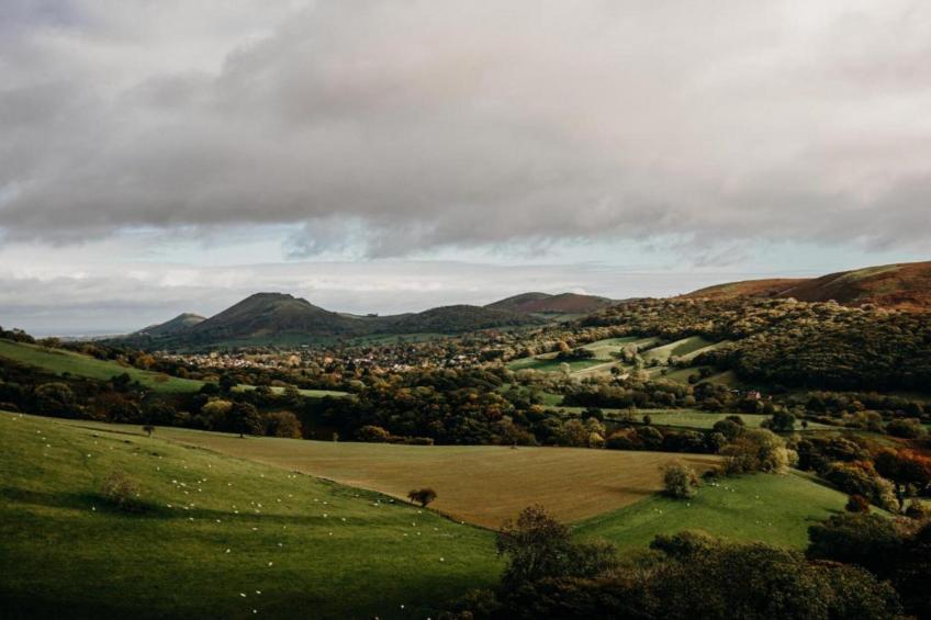 Netley Hall - Rose - foto 24