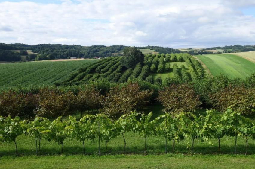 mit gemeinschaftlichem Pool - foto 5