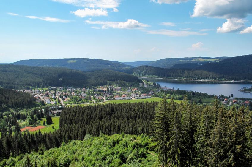 Traumblick - foto 28