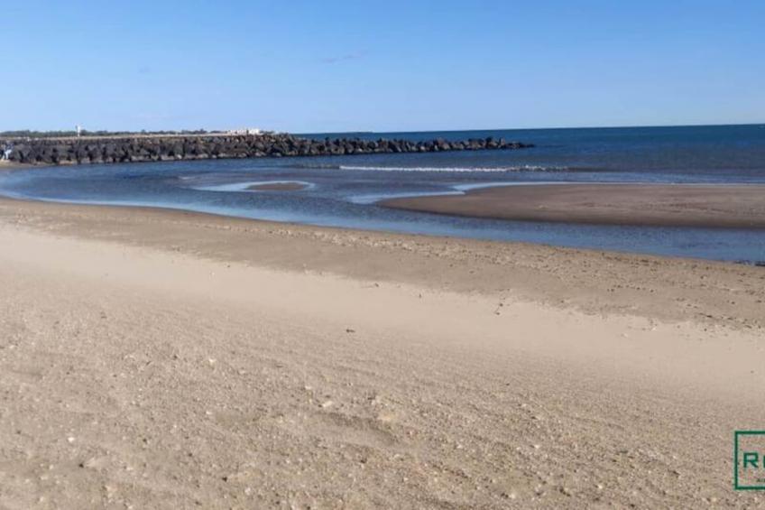 Vias-plage - Grand T1 à 100m De La Plage - foto 14