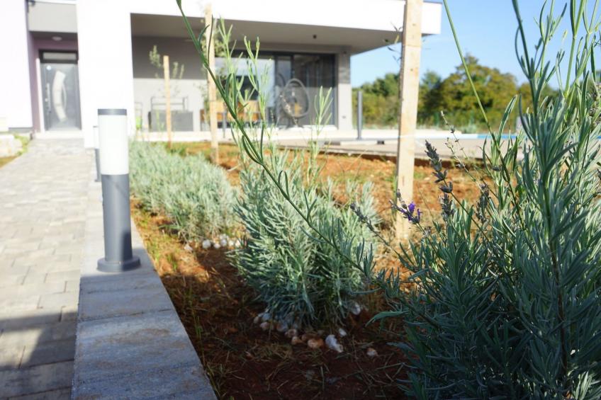 Lavender Villa - foto 12