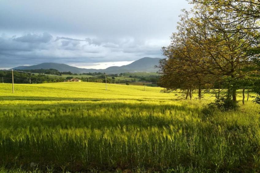 Il Giardiniere - foto 33