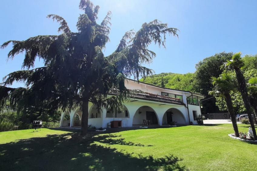 'Dear Peace on the Hill