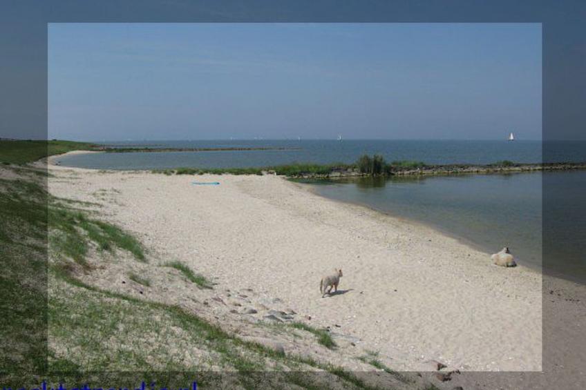 Übernachten im schönen Friesland - foto 21