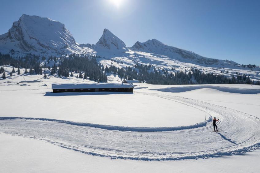 As Träumli - foto 10