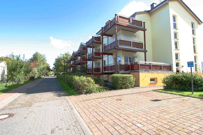 Düneneck