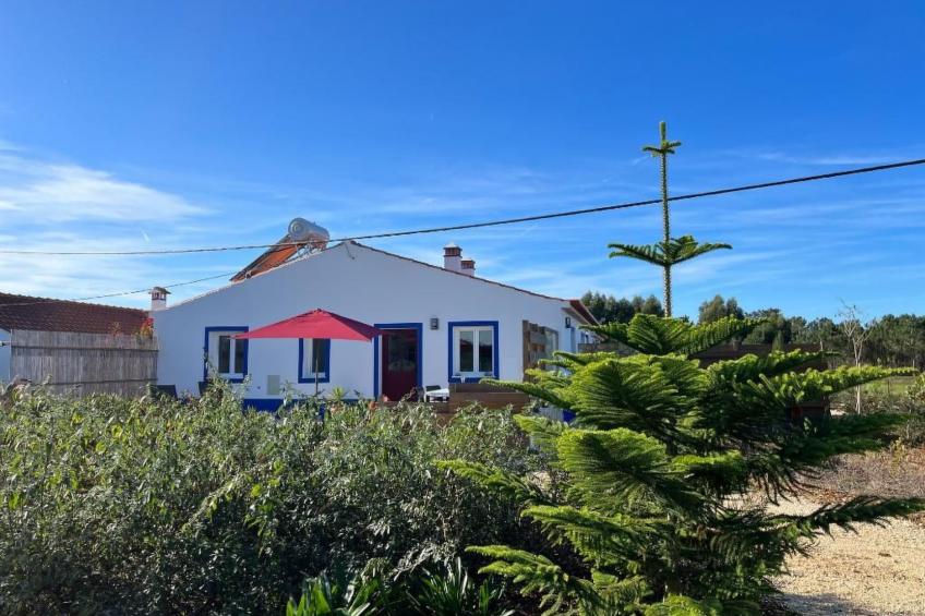 auf dem Lande in der Nähe des Strandes - foto 19