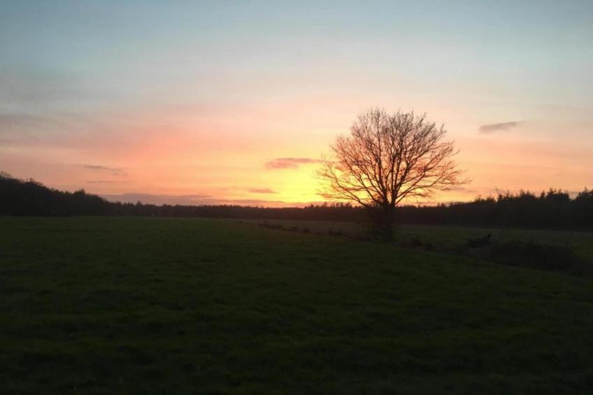 Friese Meren Villa's 16 - foto 38