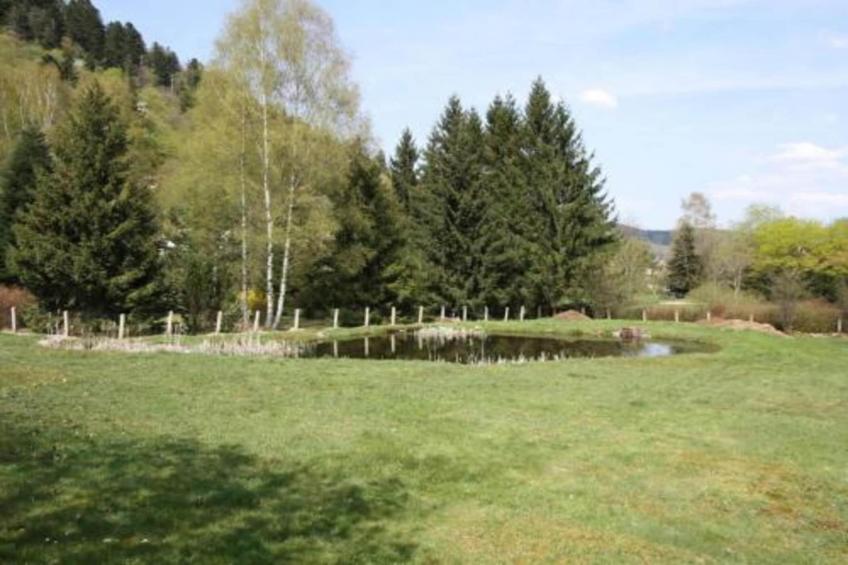 Les Chalets des Ayes - foto 27